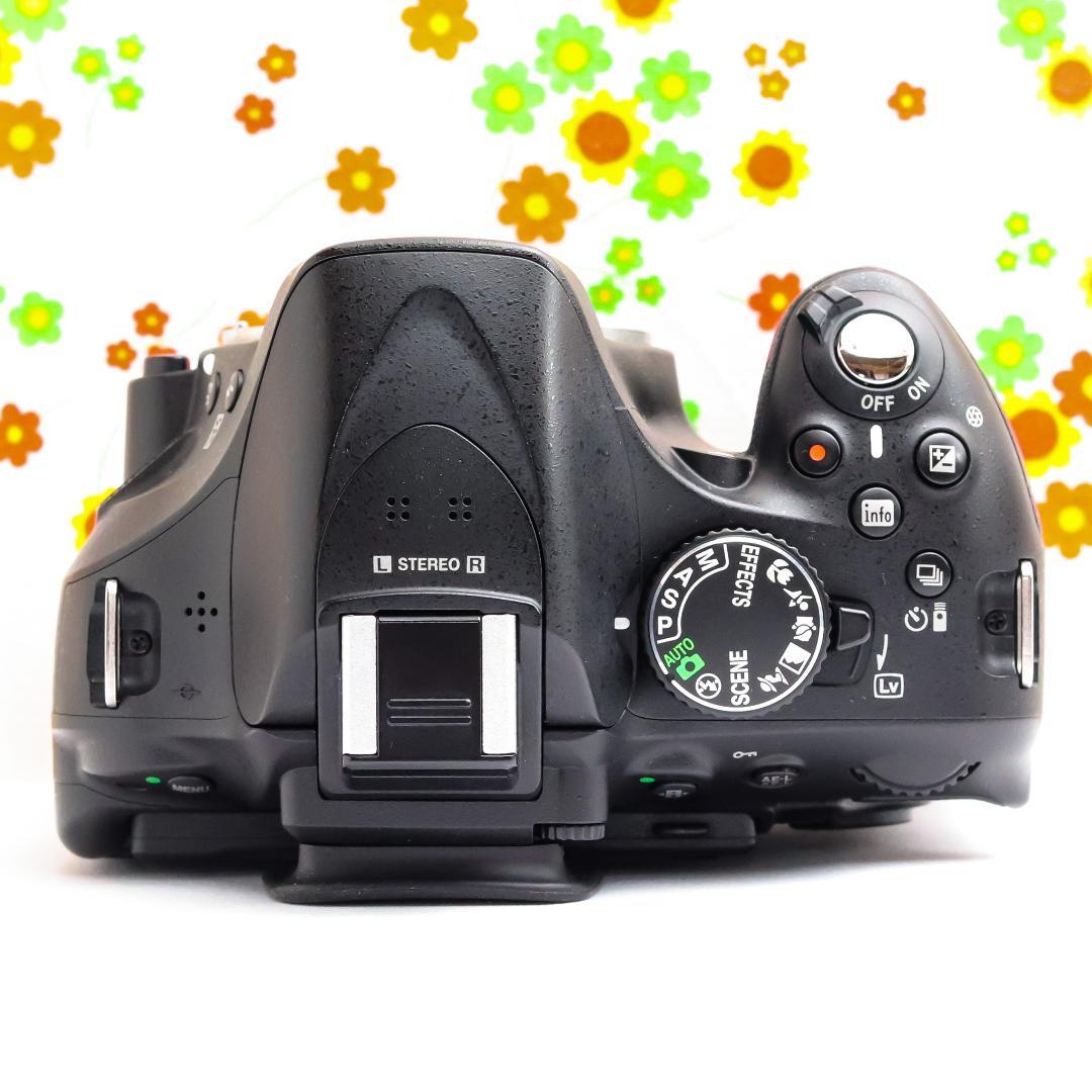 Nikon Digital Slrs D5200