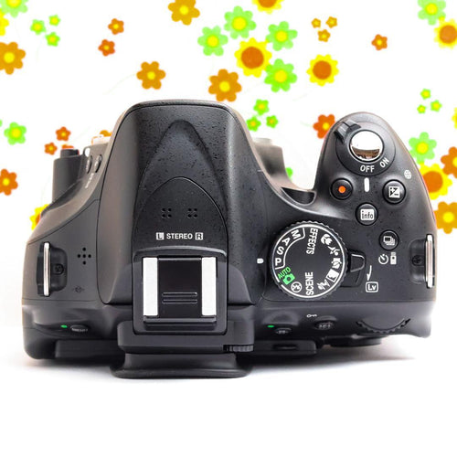 Nikon Digital Slrs D5200