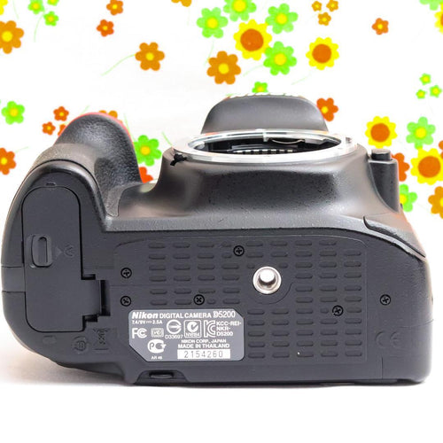 Nikon Digital Slrs D5200