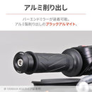 Handle (Daytona) (M6) 47755