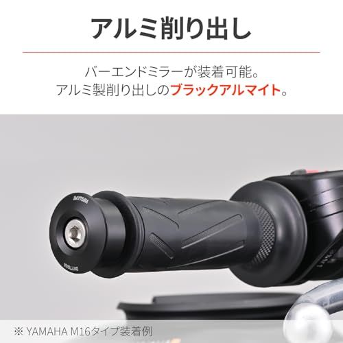 Handle (Daytona) (M6) 47755
