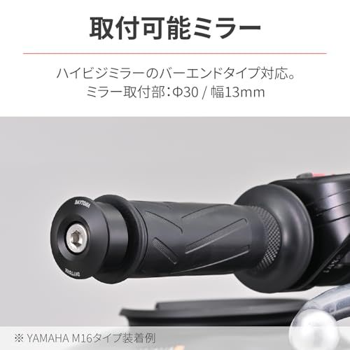 Handle (Daytona) (M6) 47755