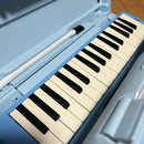 Yamaha Melodicas 2
