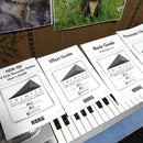 Other _Korg Trinity 61 _Fdd _Fc
