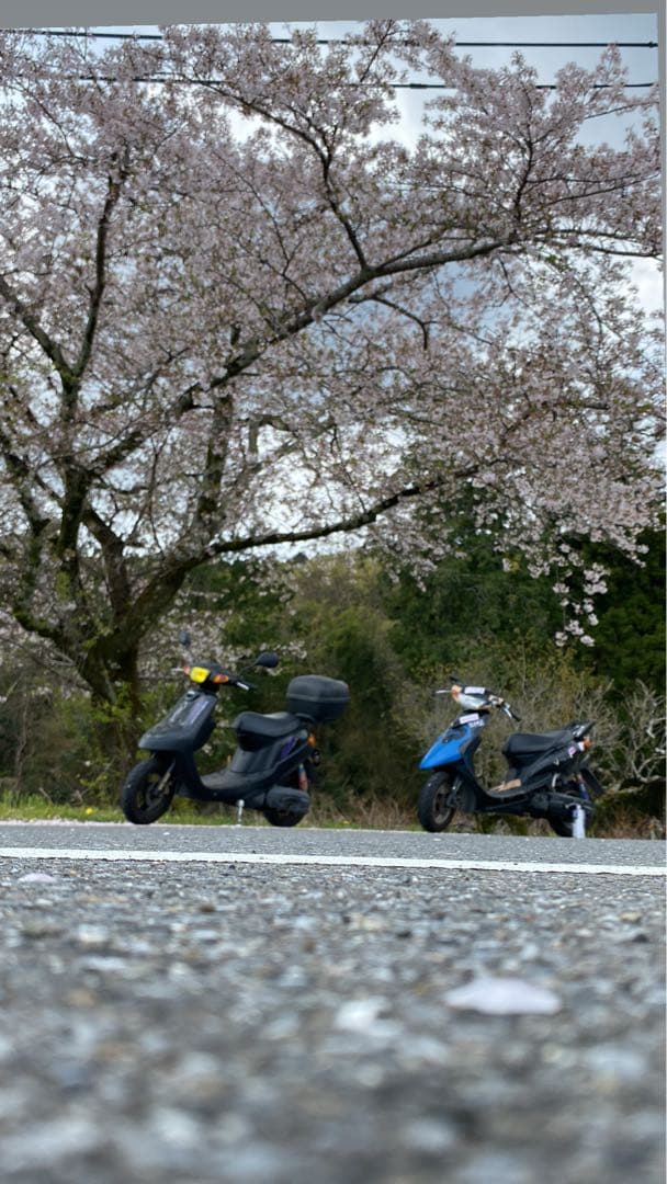 Yamaha Motorcycle Body 2