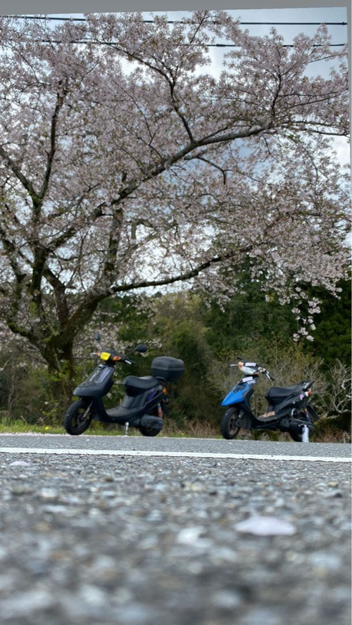 Yamaha Motorcycle Body 2