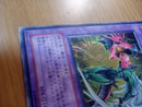 Yu -Gi -Oh! Ocg Duel Monsters E Hero 1