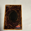 Yu-Gi-Oh! Ocg Duel Monsters (Japanese) 20Th