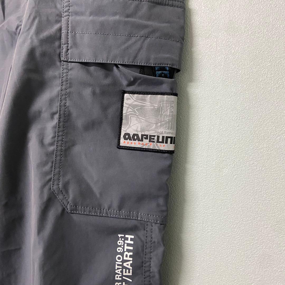 Apee By A Bathing Ape Work Pants, Cargo Painter'S Aape L
