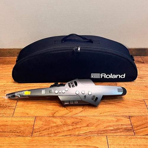 Wireless System For Guitar And Bass Roland Ae-10G