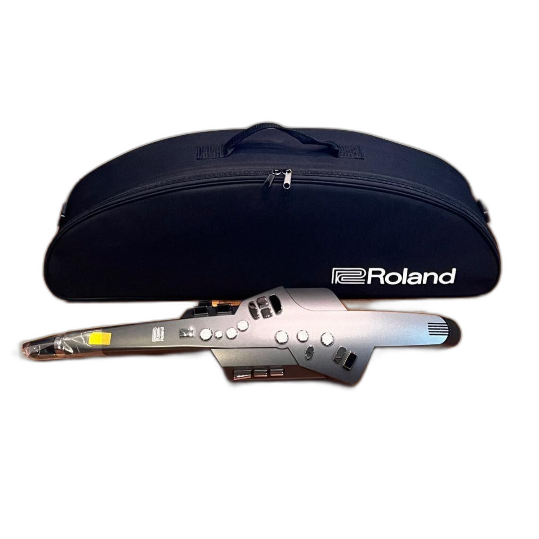 Wireless System For Guitar And Bass Roland Ae-10G