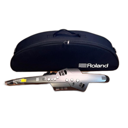 Wireless System For Guitar And Bass Roland Ae-10G