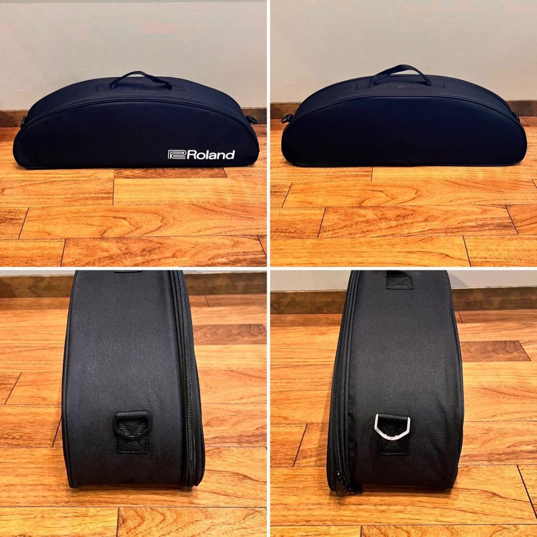 Wireless System For Guitar And Bass Roland Ae-10G