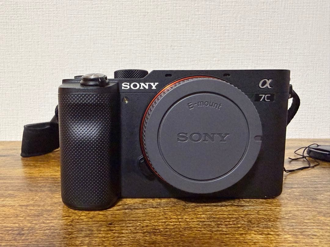 Sony Mirrorless Interchangeable Lips 7C
