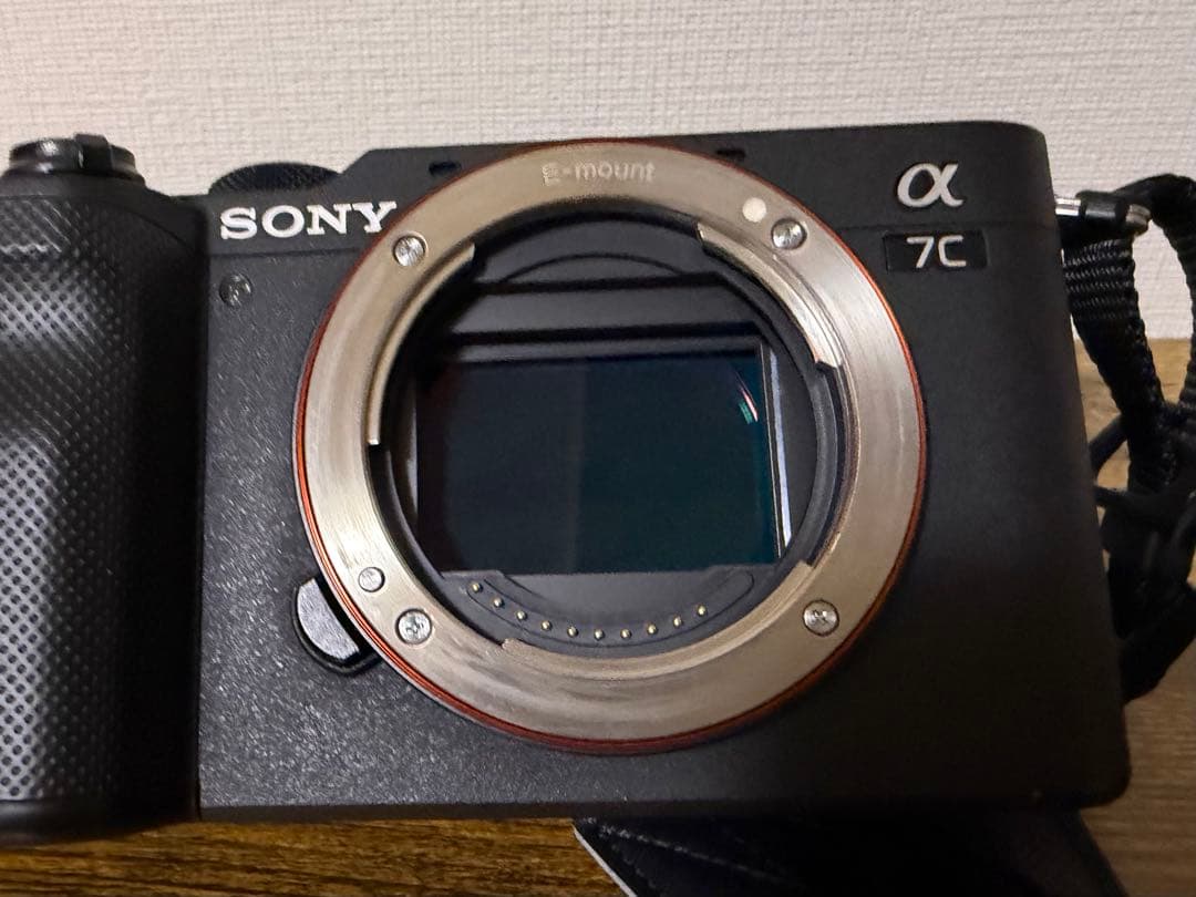 Sony Mirrorless Interchangeable Lips 7C