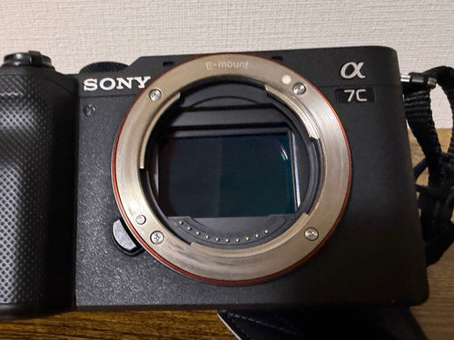 Sony Mirrorless Interchangeable Lips 7C