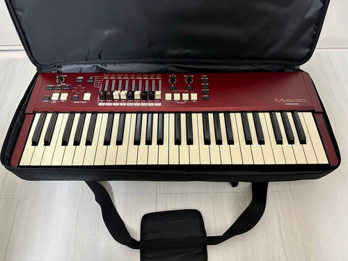 Hammond Organ Electronic M-Solo Bur