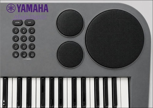 Other Yamaha Eos B200 61 Used