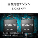 Sony Mirrorless Interchangeable Lips Vlogcam Zv-E1 W