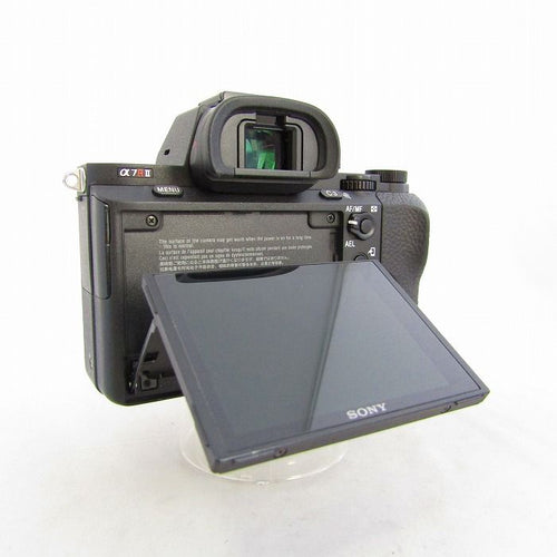 Sony Others 7R Ii (Ilce-7Rm2)