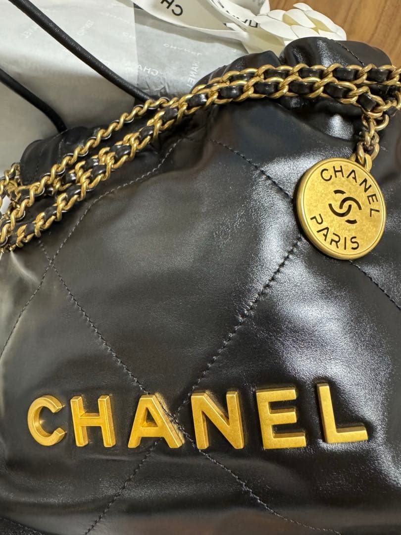 Chanel Shoulder Bags 22 8