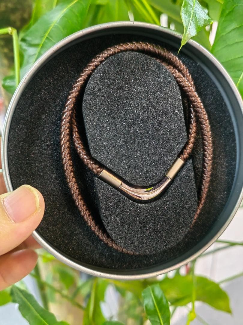 Phiten Necklace V