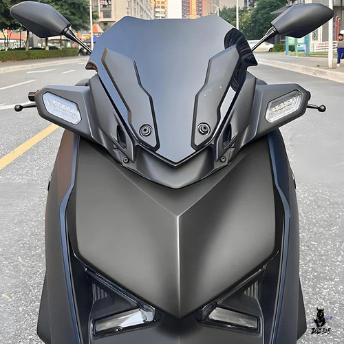 Light Winker X-Max 300 2023-2025
