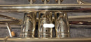 Cornets Yamaha Neo Ycr-8335S