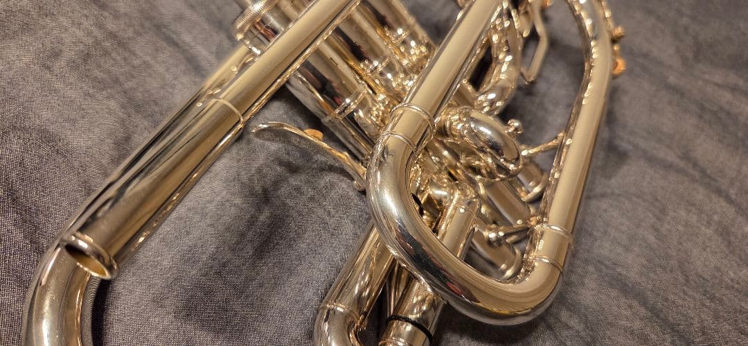 Cornets Yamaha Neo Ycr-8335S