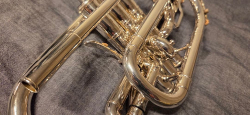 Cornets Yamaha Neo Ycr-8335S
