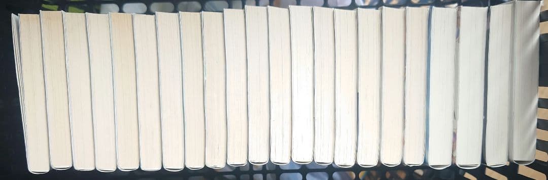 Literature Novel 22