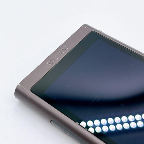 Sony Digital Audio Player Nw-A55 Rdp-Nwt19