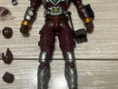 Kamen Rider S.H.Figuarts Ver.
