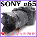 Sony Digital Slrs 65