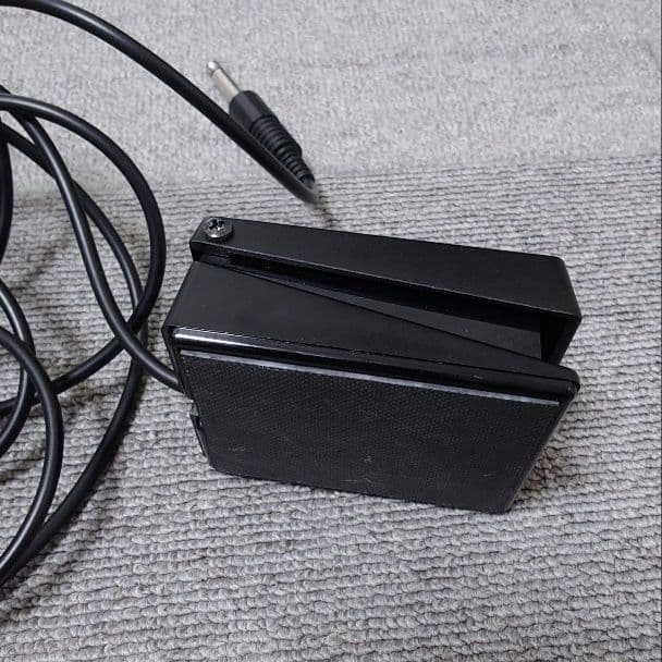 Roland Keyboard Electronic Piano Go:Piano With Alexa 61