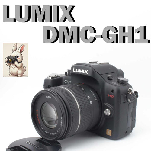 Panasonic Mirrorless Interchangeable Lens Cameras Lumix Dmc-Gh1 Hd
