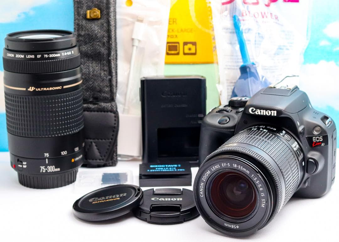 Canon Digital Slrs Kiss X7