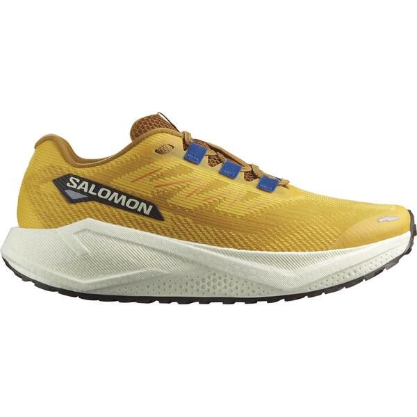 Sneakers Salomon Aero Blaze 3 Trail Running Shoes Menspicyvanilla