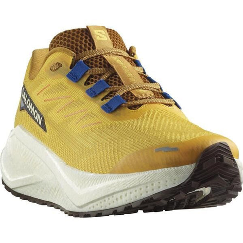 Sneakers Salomon Aero Blaze 3 Trail Running Shoes Menspicyvanilla