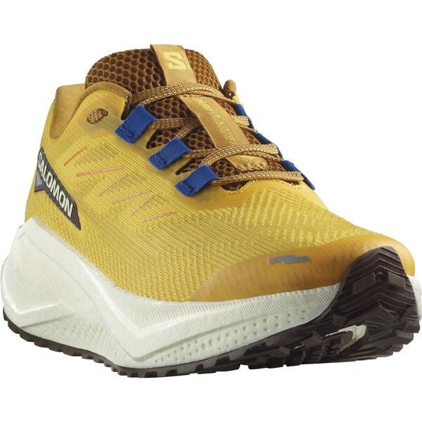 Sneakers Salomon Aero Blaze 3 Trail Running Shoes Menspicyvanilla