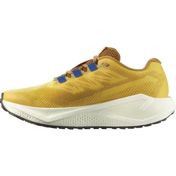 Sneakers Salomon Aero Blaze 3 Trail Running Shoes Menspicyvanilla