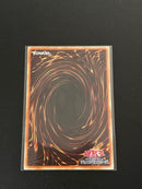 Yu -Gi -Oh! Ocg Duel Monsters