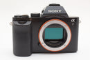 Mirrorless Interchangeable Lips 31627 Sony 7 No1