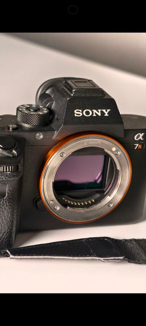 Sony Mirrorless Interchangeable Lens Cameras A7Rii
