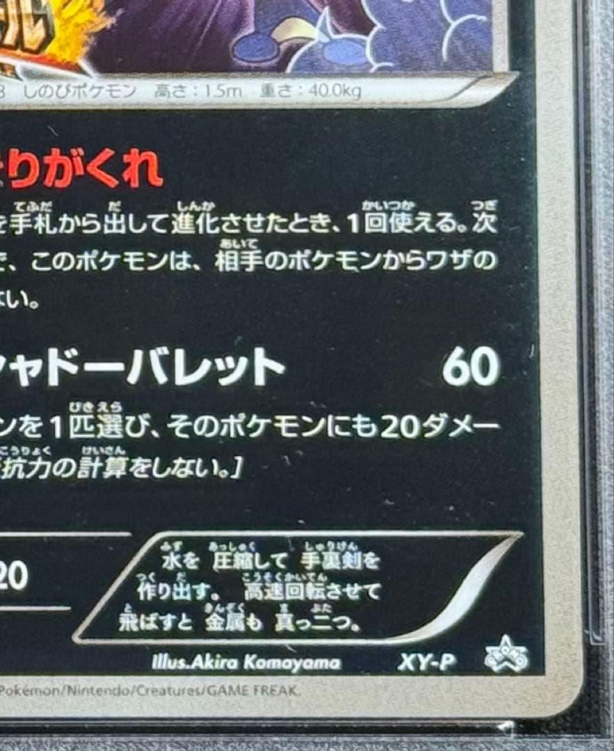 Pok Mon Tcg Trading Card Game Psa10