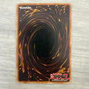 Yu-Gi-Oh! Ocg Duel Monsters (Foreign Languages) Soi 1St