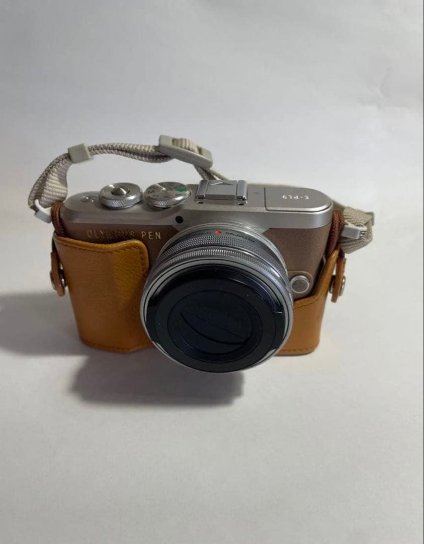 Olympus Mirrorless Interchangeable Lips Pen E-Pl9