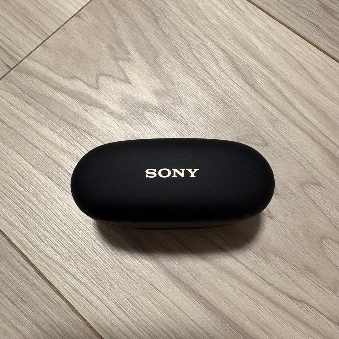 Sony Other 1000X Series