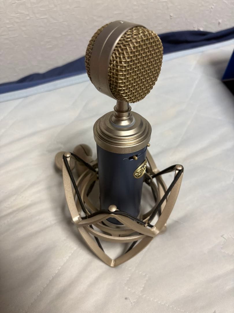 Blue Microphones Condenser