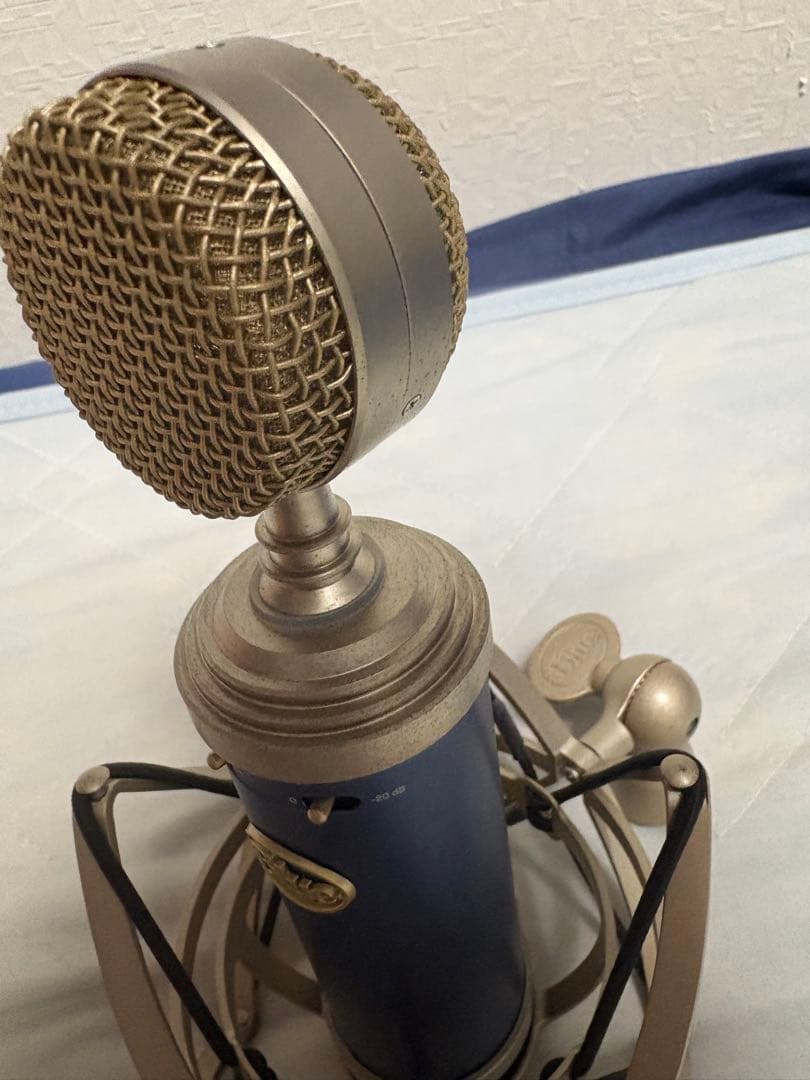 Blue Microphones Condenser